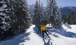 Langlaufen in Obertauern